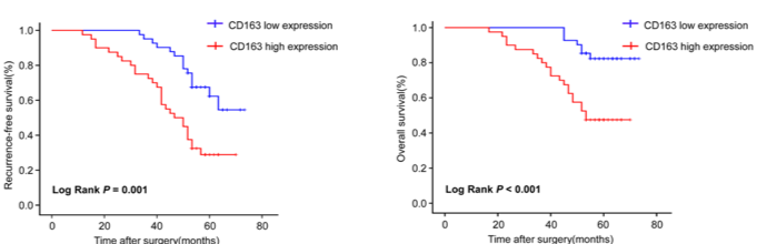 Association of CD163 expression at invasive front with the patients’ recurrence-free survival and overall survival in CRC. (Wei, et al., 2019)